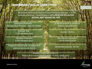 Sabemos Cómo
Fondo de Capital Privado – Valor Forestal
Localización Plantación:
Municipio de la Primavera – Dpto. de Vichada
Extensión Total :
13.000 Hectáreas aprox.
Hectáreas Productivas:
10.000 Hectáreas aprox.
Valor total de la plantación:
COP $130.000.000.000
Integración Total de todas las etapas de la
cadena productiva del caucho.
Al final del proyecto se venden los
terrenos y los maderables
Duración: 39 años
El desarrollo del Fondo se hace por Compartimentos que equivalen a 10.000
hectáreas productivas, convirtiéndose en LA PLANTACION DE CAUCHO
NATURAL MÁS GRANDE DEL PAÍS
Rentabilidad esperada: 18% EA*
Inversión mínima: 600 S.M.M.L.V.,
Retorno de la inversión inicial esperado :10 años y medio aprox.
 