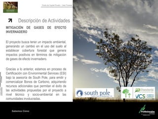 Sabemos Cómo
Fondo de Capital Privado – Valor Forestal
Descripción de Actividades
MITIGACIÓN DE GASES DE EFECTO
INVERNADERO
El proyecto busca tener un impacto ambiental,
generando un cambio en el uso del suelo al
establecer cobertura forestal que genera
impactos positivos en términos de mitigación
de gases de efecto invernadero.
Gracias a lo anterior, estamos en proceso de
Certificación con Environmental Services (ESI)
bajo la asesoría de South Pole, para emitir y
comercializar Bonos de Carbono, adquiriendo
recursos adicionales que permitan el éxito de
las actividades propuestas por el proyecto a
nivel técnico y socio-ambiental en las
comunidades involucradas.
 