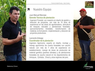 Sabemos Cómo
Fondo de Capital Privado – Valor Forestal
Nuestro Equipo
Juan Manuel Mancipe
Gerente Técnico de plantación
Ingeniero Forestal, con maestría en diseño de gestión y
dirección de proyectos, con más de 19 años de
experiencia en las áreas de agroforestería, silvicultura
de bosques naturales y plantaciones forestales,
aprovechamientos forestales, transformación de
maderas, la formulación, implementación y dirección de
proyectos productivos.
Leonardo Arteaga
Coordinador de la plantación
Ingeniero Agrónomo, experto en diseño, montaje y
manejo agronómico de viveros forestales con caucho
natural, con más de 7 años de experiencia en
establecimiento, manejo de áreas de producción de
material genético (jardines clónales) y de plantaciones
forestales de caucho natural en los departamentos de
Antioquia, Córdoba, Chocó y otras regiones del país.
 