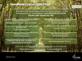 Sabemos Cómo
Fondo de Capital Privado – Valor Forestal
Localización Plantación:
Municipio de la Primavera – Dpto. de Vichada
Extensión Total :
16.000 Hectáreas aprox.
Hectáreas Productivas:
10.000 Hectáreas aprox.
Valor total de la plantación:
COP $130.000.000.000
Integración Total de todas las etapas de la
cadena productiva del caucho.
Al final del proyecto se venden los
terrenos y los maderables
Duración: 42 años
El desarrollo del Fondo se hace por Compartimentos que equivalen a 10.000
hectáreas productivas, convirtiéndose en LA PLANTACION DE CAUCHO
NATURAL MÁS GRANDE DEL PAÍS
Rentabilidad esperada: 18% E.A.*
Inversión mínima: 600 S.M.M.L.V.,
Retorno de la inversión inicial esperado :10 años y medio aprox.
 