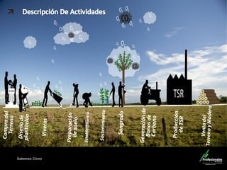 Sabemos Cómo
Fondo de Capital Privado – Valor Forestal
 