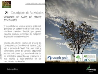 Sabemos Cómo
Fondo de Capital Privado – Valor Forestal
Descripción de Actividades
MITIGACIÓN DE GASES DE EFECTO
INVERNADERO
El proyecto busca tener un impacto ambiental,
generando un cambio en el uso del suelo al
establecer cobertura forestal que genera
impactos positivos en términos de mitigación
de gases de efecto invernadero.
Gracias a lo anterior, estamos en proceso de
Certificación con Environmental Services (ESI)
bajo la asesoría de South Pole, para emitir y
comercializar Bonos de Carbono, adquiriendo
recursos adicionales que permitan el éxito de
las actividades propuestas por el proyecto a
nivel técnico y socio-ambiental en las
comunidades involucradas.
 