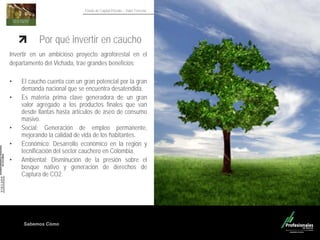 Sabemos Cómo
Fondo de Capital Privado – Valor Forestal
Por qué invertir en caucho
Invertir en un ambicioso proyecto agroforestal en el
departamento del Vichada, trae grandes beneficios:
• El caucho cuenta con un gran potencial por la gran
demanda nacional que se encuentra desatendida.
• Es materia prima clave generadora de un gran
valor agregado a los productos finales que van
desde llantas hasta artículos de aseo de consumo
masivo.
• Social: Generación de empleo permanente,
mejorando la calidad de vida de los habitantes.
• Económico: Desarrollo económico en la región y
tecnificación del sector cauchero en Colombia.
• Ambiental: Disminución de la presión sobre el
bosque nativo y generación de derechos de
Captura de CO2.
 