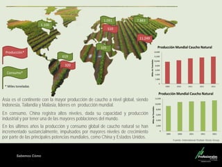 Sabemos Cómo
Producción*
Consumo*
* Miles toneladas
1.100
619
1.091
105
7.883
510
11.249
320
Asia es el continente con la mayor producción de caucho a nivel global, siendo
Indonesia, Tailandia y Malasia, lideres en producción mundial.
En consumo, China registra altos niveles, dada su capacidad y producción
industrial y por tener una de las mayores poblaciones del mundo.
En los últimos años la producción y consumo global de caucho natural se han
incrementado sustancialmente, impulsados por mayores niveles de crecimiento
por parte de las principales potencias mundiales, como China y Estados Unidos.
Fuente: International Rubber Study Group
 