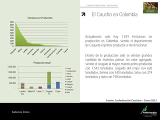 Sabemos Cómo
Fondo de Capital Privado – Valor Forestal
El Caucho en Colombia
0
100
200
300
400
500
600
700
800
900
Hectáreas en Producción
Actualmente solo hay 1.819 Hectáreas en
producción en Colombia, siendo el departamento
de Caquetá el primer productor a nivel nacional.
Dentro de la producción solo se ofertan grandes
cantidad de materias primas sin valor agregado,
siendo el coagulo la mayor materia prima producida
con 1.543 toneladas, seguido del crepe con 620
toneladas, lamina con 540 toneladas, latex con 219
toneladas y ripio con 190 toneladas.
Fuente: Confederación Cauchera – Censo 2013
-
500.000
1.000.000
1.500.000
2.000.000
Lamina
KG
Ripio KG Latex LT Coagulo
Tn
Crepe
Cauca
Cundinamarca
Tolima
Guaviare
caldas
Cordoba
Antioquia
Caquetá
Santander
Meta
Producción anual
 