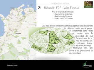 Sabemos Cómo
Fondo de Capital Privado – Valor Forestal
del cultivo de caucho natural, ya que
es
de escape para la
….……..
es denominada como "zona
….
enfermedad del mal
…..
Área de Desarrollo del Proyecto:
• Departamento del Vichada,
• Municipio de la Primavera,
• Inspección de San Teodoro.
Esta zona provee condiciones climáticas óptimas para el desarrollo
Ubicación FCP - Valor Forestal
Suramericano de la
hoja del caucho", sus
condiciones limitan
…el desarrollo del hongo .
Microcyclus ulei, que
……afecta a las plantaciones de
caucho natural.
……
05
08
01
04
06
03
02
07
10
09
 