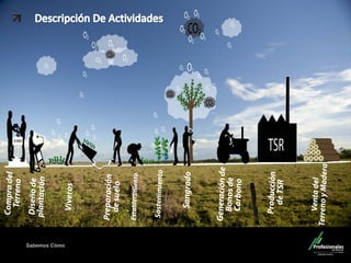 Sabemos Cómo
Fondo de Capital Privado – Valor Forestal
 