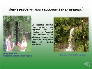ÁREAS DEMOSTRATIVAS Y EDUCATIVAS EN LA RESERVA:
• La Reserva cuenta
con espacios de
impacto en lo
Hídrico y Forestal
para sensibilizar al
visitante sobre las
prácticas amigables
con el medio
ambiente.
Estudiantes UNA:
Realizando Estudio Entomológico Cascada: Fuente Hidrográfica
 