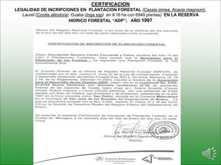 CERTIFICACION
LEGALIDAD DE INCRIPCIONES EN PLANTACION FORESTAL (Cassia simea, Acacia magnium),
Laurel (Cordia alliodora), Guaba (Inga ssp) en 9.16 ha con 6949 plantas) EN LA RESERVA
HIDRICO FORESTAL “ADP”; AÑO 1997
 
