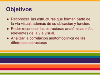 Objetivos 
● Reconocer las estructuras que forman parte de 
la vía visual, además de su ubicación y función. 
● Poder reconocer las estructuras anatómicas más 
relevantes de la vía visual. 
● Analizar la correlación anatomoclínica de las 
diferentes estructuras 
 