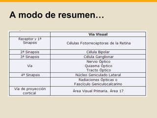 A modo de resumen… 
 