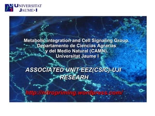 ASSOCIATED UNIT EEZ(CSIC)-UJIASSOCIATED UNIT EEZ(CSIC)-UJI
RESEARHRESEARH
http://nitropriming.wordpress.com/http://nitropriming.wordpress.com/
Metabolic integration and Cell Signaling Group.Metabolic integration and Cell Signaling Group.
Departamento de Ciencias AgrariasDepartamento de Ciencias Agrarias
y del Medio Natural (CAMN).y del Medio Natural (CAMN).
Universitat Jaume IUniversitat Jaume I
 
