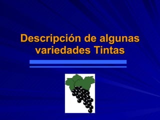 Descripción de algunas variedades Tintas 