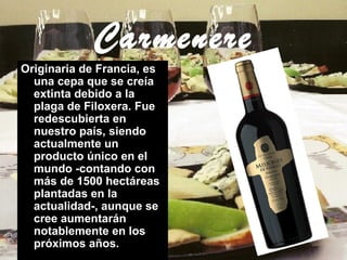 Carmenere
Originaria de Francia, es
una cepa que se creía
extinta debido a la
plaga de Filoxera. Fue
redescubierta en
nuestro país, siendo
actualmente un
producto único en el
mundo -contando con
más de 1500 hectáreas
plantadas en la
actualidad-, aunque se
cree aumentarán
notablemente en los
próximos años.