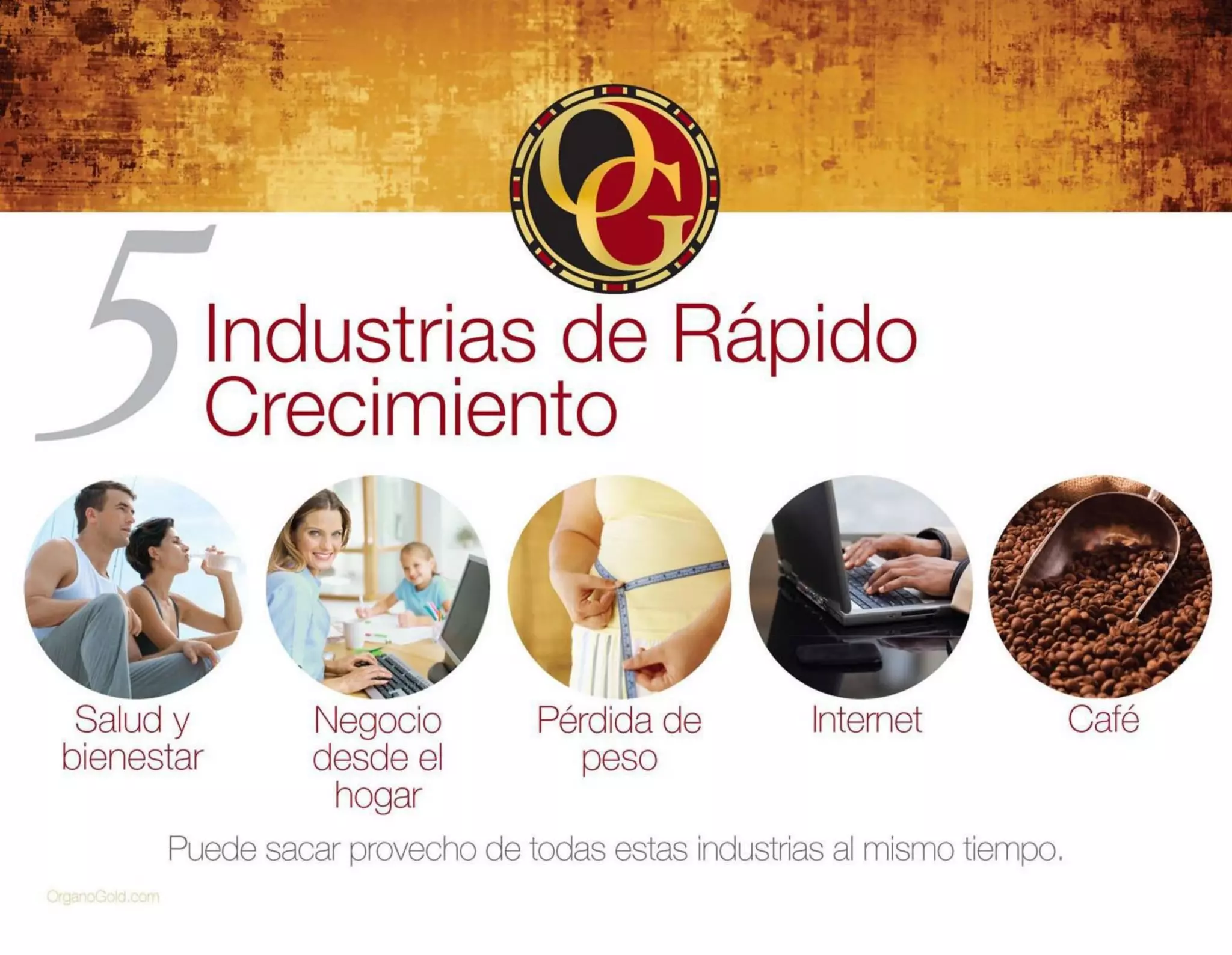 Presentación de Negocio Organo Gold