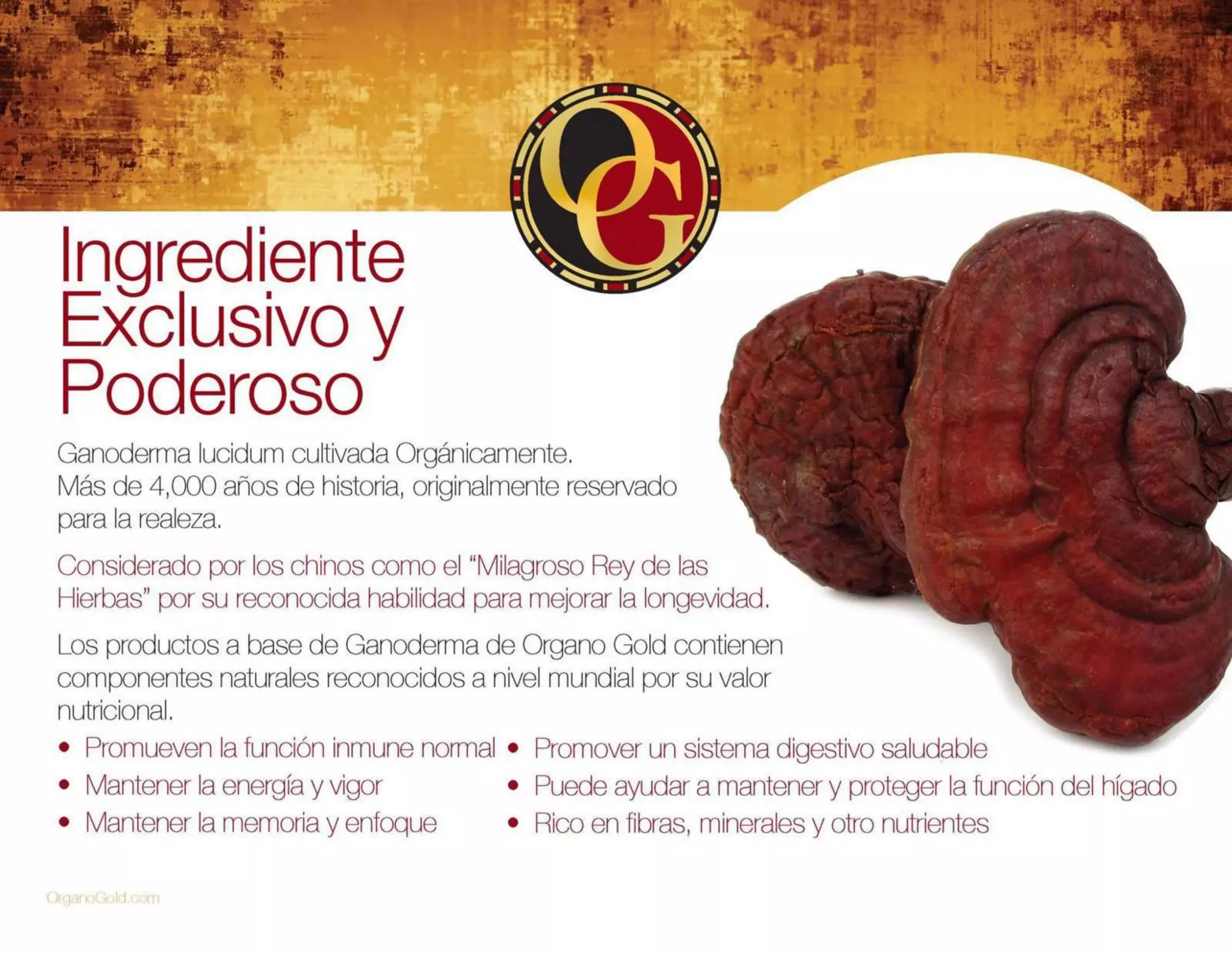 Presentación de Negocio Organo Gold