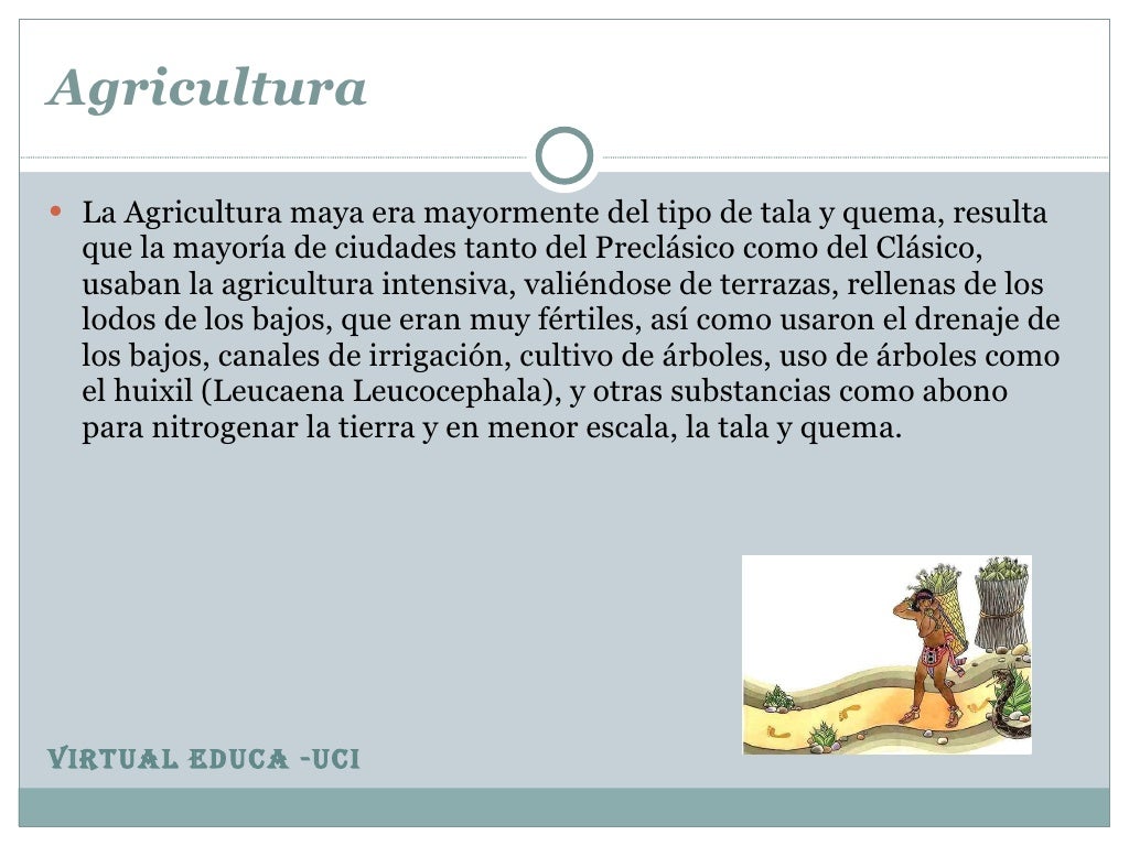 Aportes de los Mayas