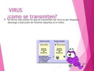VIRUS 
¿como se transmiten?  La forma más común en que se transmiten los virus es por disquete, 
descarga o ejecución de ficheros adjuntos en e-mails. 
 