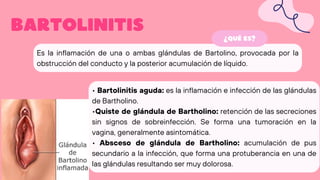 Comprehensive Overview of Bartolinitis: Anatomy, Diagnosis, and ...