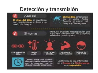 Detección y transmisión
 