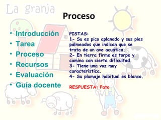 Proceso  Introducción Tarea Proceso Recursos Evaluación Guía docente PISTAS: 1- Su es pico aplanado y sus pies palmeados que indican que se trata de un ave acuática. 2- En tierra firme es torpe y camina con cierta dificultad.   3- Tiene una voz muy característica. 4- Su plumaje habitual es blanco. RESPUESTA: Pato 