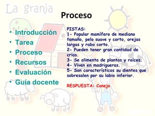 Proceso  Introducción Tarea Proceso Recursos Evaluación Guía docente PISTAS: 1- Popular mamífero de mediano tamaño, pelo suave y corto, orejas largas y rabo corto. 2- Pueden tener gran cantidad de crías. 3- Se alimenta de plantas y raíces. 4- Viven en madrigueras. 5- Son característicos su dientes que sobresalen por su labio inferior. RESPUESTA: Conejo 