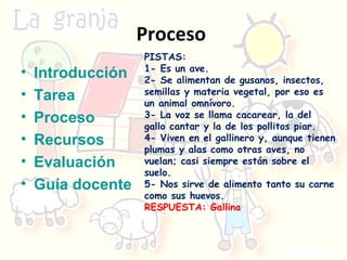 Proceso  Introducción Tarea Proceso Recursos Evaluación Guía docente PISTAS: 1- Es un ave.  2- Se alimentan de gusanos, insectos, semillas y materia vegetal, por eso es un animal omnívoro. 3- La voz se llama cacarear, la del gallo cantar y la de los pollitos piar.  4- Viven en el gallinero y, aunque tienen plumas y alas como otras aves, no vuelan; casi siempre están sobre el suelo. 5- Nos sirve de alimento tanto su carne como sus huevos. RESPUESTA: Gallina 