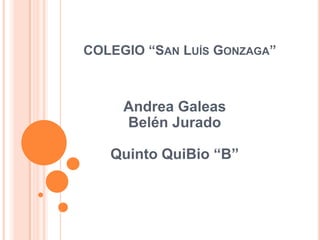 COLEGIO “San Luís Gonzaga” Andrea GaleasBelén JuradoQuinto QuiBio “B” 