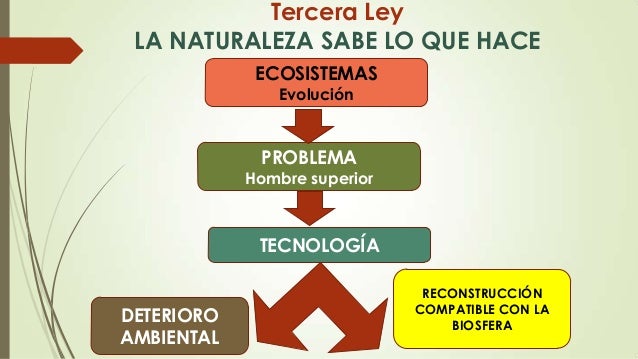 Presentacion wiki 17 leyes de la ecologia