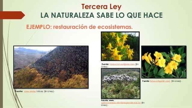 Presentacion wiki 17 leyes de la ecologia