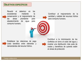 OBJETIVOS ESPECÍFICOS

     Revertir el deterioro en los
     ecosistemas       mediante      la   Contribuir al mejoramiento de la
     conservación y el mejoramiento de    cantidad y calidad del recursos hídrico
     las    áreas    prioritarias para    para consumo humano.
     abastecimiento de agua para
     consumo humano.




                                          Contribuir a la minimización de los
     Establecer las relaciones de pago    conflictos en torno al costo del agua y
     costo beneficio entre oferentes y    mostrar una distribución más justa de
     demandantes del recurso hídrico.     costos y beneficios de quienes están
                                          en áreas de protección



Trabajo colaborativo
 