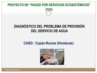 PROYECTO DE “PAGOS POR SERVICIOS ECOSISTÉMICOS”
                                   (PSE)



            DIAGNÓSTICO DEL PROBLEMA DE PROVISIÓN
                     DEL SERVICIO DE AGUA


                       CASO: Copán-Ruinas (Honduras)




Trabajo colaborativo
 