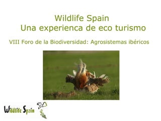 Wildlife Spain
    Una experienca de eco turismo
VIII Foro de la Biodiversidad: Agrosistemas ibéricos
 