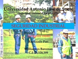 Universidad Antonio José de Sucre
Seguridad Industrial Escuela «77»
SEGURIDAD INDUSTRIAL
Realizado Por:
Williannys Barcenas
C.I: 25,528,599
 
