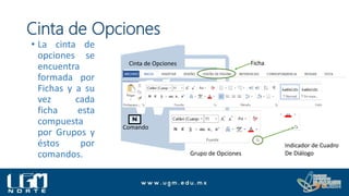 • La cinta de
opciones se
encuentra
formada por
Fichas y a su
vez cada
ficha esta
compuesta
por Grupos y
éstos por
comandos.
Cinta de Opciones
Comando
Grupo de Opciones
Indicador de Cuadro
De Diálogo
Ficha
Cinta de Opciones
 