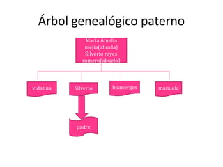 Árbol genealógico paterno
María Amelia
mejía(abuela)
Silverio reyes
romero(abuelo)
vidalina Silverio boanerges manuela
padre