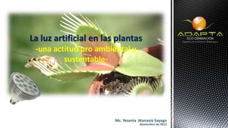 La luz artificial en las plantas
-una actitud pro ambiental y
sustentable-

Mc. Yesenia Atanasio Sayago

Noviembre de 2013

 