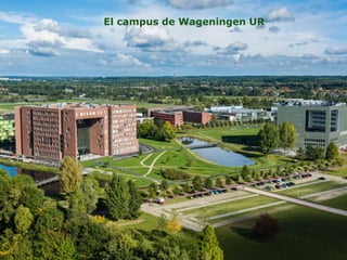 Wageningen UR in Latin America