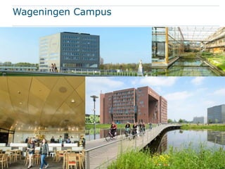Wageningen UR in Latin America