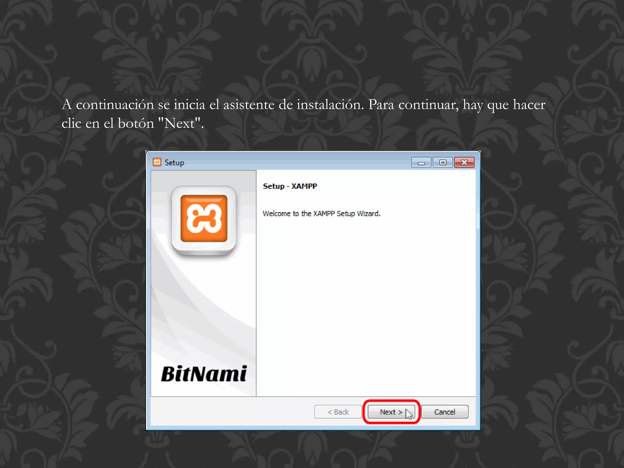 A continuación se inicia el asistente de instalación. Para continuar, hay que hacer
clic en el botón "Next".
 