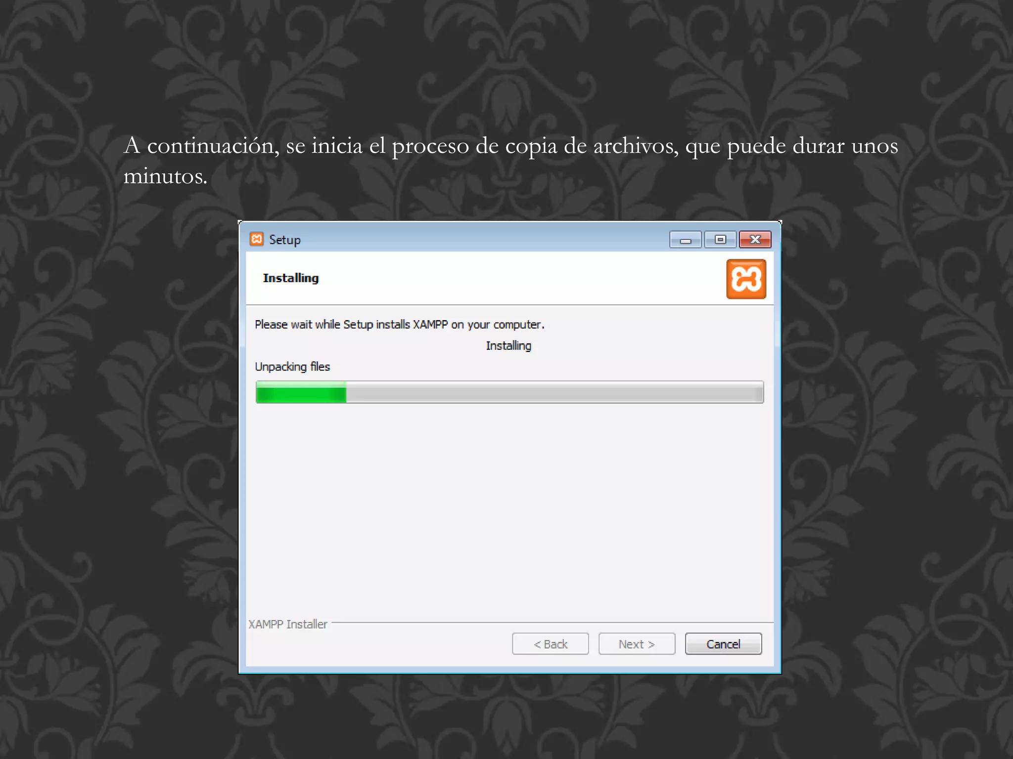 A continuación, se inicia el proceso de copia de archivos, que puede durar unos
minutos.
 