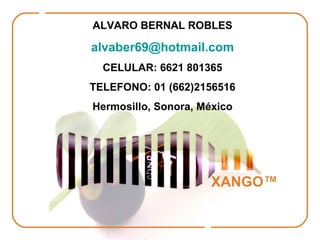 XANGO™ ALVARO BERNAL ROBLES [email_address] CELULAR: 6621 801365 TELEFONO: 01 (662)2156516 Hermosillo, Sonora, México 