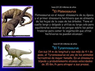 hace 231,00 millones de años   * El Plateosaurus Plateosaurus es el mayor dinosaurio de su época y el primer dinosaurio herbívoro que se alimenta de las hojas de la copa de los árboles. Tiene el cuello largo y delgado y utiliza su larga cola para equilibrarse mientras se yergue sobre las patas traseras para comer la vegetación que otros herbívoros no pueden alcanzar. hace 67,00 millones de años  * El Tyrannosaurus Con sus 14 m de longitud y sus más de 4 t de peso, el Tyrannosaurus es uno de los animales terrestres de mayor tamaño. Es un dinosaurio bípedo y probablemente alcanza velocidades de 35 Km./h para atrapar a sus presas. 