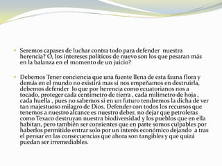Seremos capases de luchar contra todo para defender  nuestra herencia? O, los intereses políticos de nuevo son los que pesaran más en la balanza en el momento de un juicio?Debemos Tener conciencia que una fuente llena de esta fauna flora y demás en el mundo no existirá mas si nos empeñamos en destruirla, debemos defender  lo que por herencia como ecuatorianos nos a tocado, proteger cada centímetro de tierra , cada milímetro de hoja , cada huella , pues no sabemos si en un futuro tendremos la dicha de ver tan majestuoso milagro de Dios. Defender con todos los recursos que tenemos a nuestro alcance es nuestro deber, no dejar que petroleras como Texaco destruyan nuestra biodiversidad y los pueblos que en ella habitan, pero también ser consientes que en parte somos culpables por haberlos permitido entrar solo por un interés económico dejando  a tras  el pensar en las consecuencias que ahora son tangibles y que quizá puedan ser irremediables.