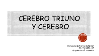 CEREBRO TRIUNO Y CEREBRO 
Hernández Gutiérrez Yetsimar 
C.I. V-25.154.157 
Arquitectura I semestre  