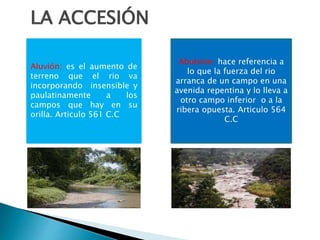 Aluvión: es el aumento de
terreno que el rio va
incorporando insensible y
paulatinamente a los
campos que hay en su
orilla. Articulo 561 C.C
Abulsión: hace referencia a
lo que la fuerza del rio
arranca de un campo en una
avenida repentina y lo lleva a
otro campo inferior o a la
ribera opuesta. Articulo 564
C.C
LA ACCESIÓN
 