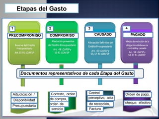 Etapas del Gasto
 