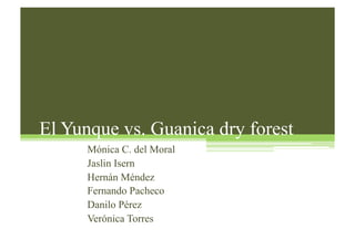 El Yunque vs. Guanica dry forest
Mónica C. del Moral
Jaslin Isern
Hernán Méndez
Fernando Pacheco
Danilo Pérez
Verónica Torres
 