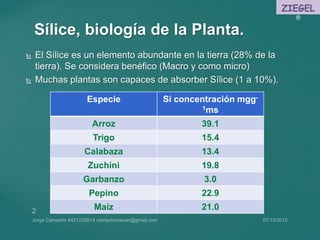 ZIEGEL
®
Sílice, biología de la Planta.
 El Sílice es un elemento abundante en la tierra (28% de la
tierra). Se considera...