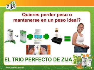 Presentacion zija